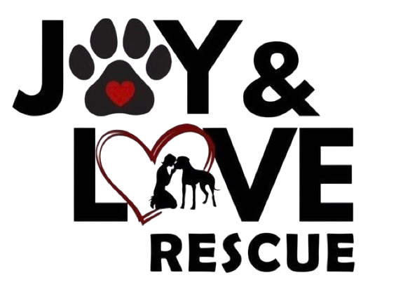 Pet Rescue Hero Image
